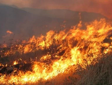 Νέα δεδομένα για τη φωτιά στην Εύβοια: Κάηκε σπίτι στο Κοντοδεσπότι- Εκκενώνεται μοναστήρι